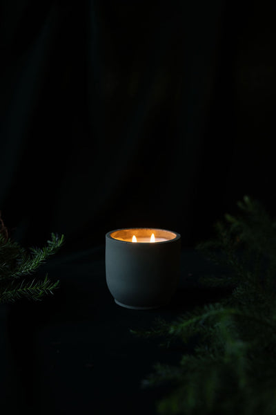 Parlour Pine (Imperfect)