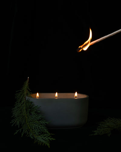 Parlour Pine (Imperfect)