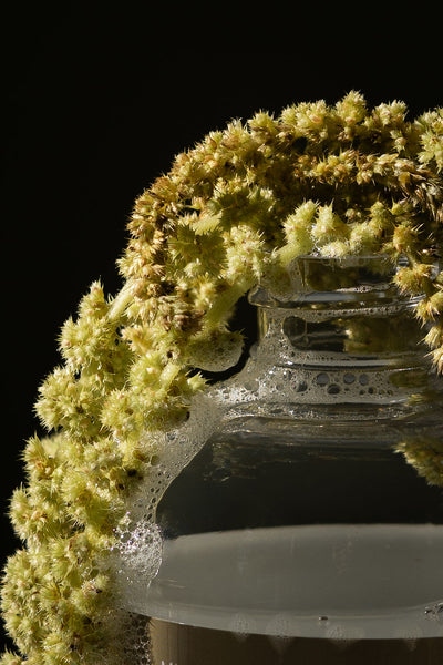 "Ultra Flora" Plant Based Multi-Surface Cleaner